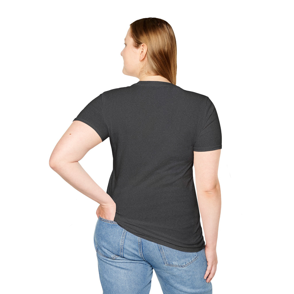 Some People Are Queer T-Shirt Rainbow Graphic