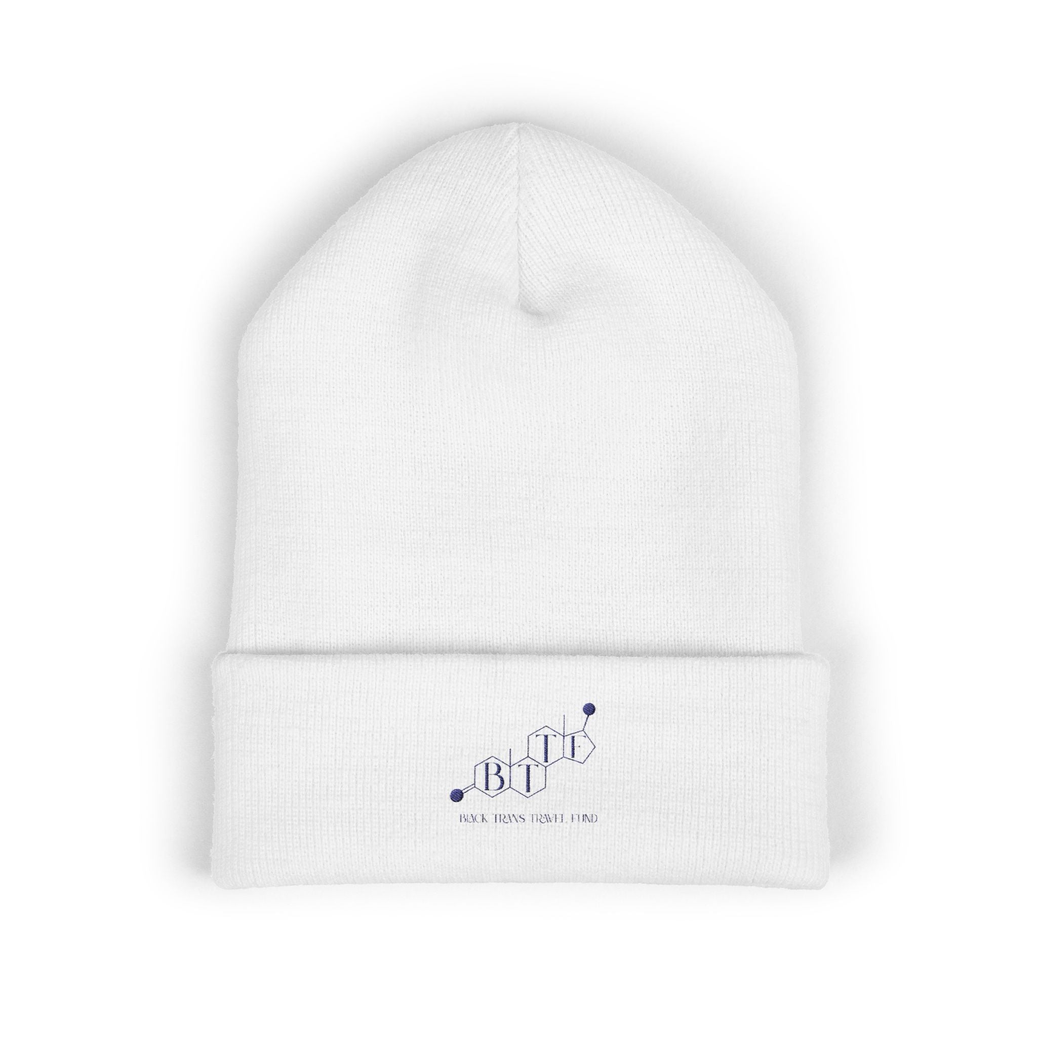 BTTF - Black Trans Travel Fund Embroidered Beanie