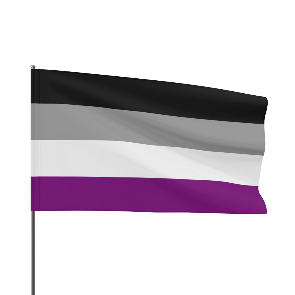Asexual Pride Flag - Aesthetic LGBTQ+ Banner for Celebration & Home Decor - EqualiTees.Me