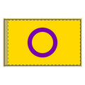 Flag Double-Sided Intersex Pride