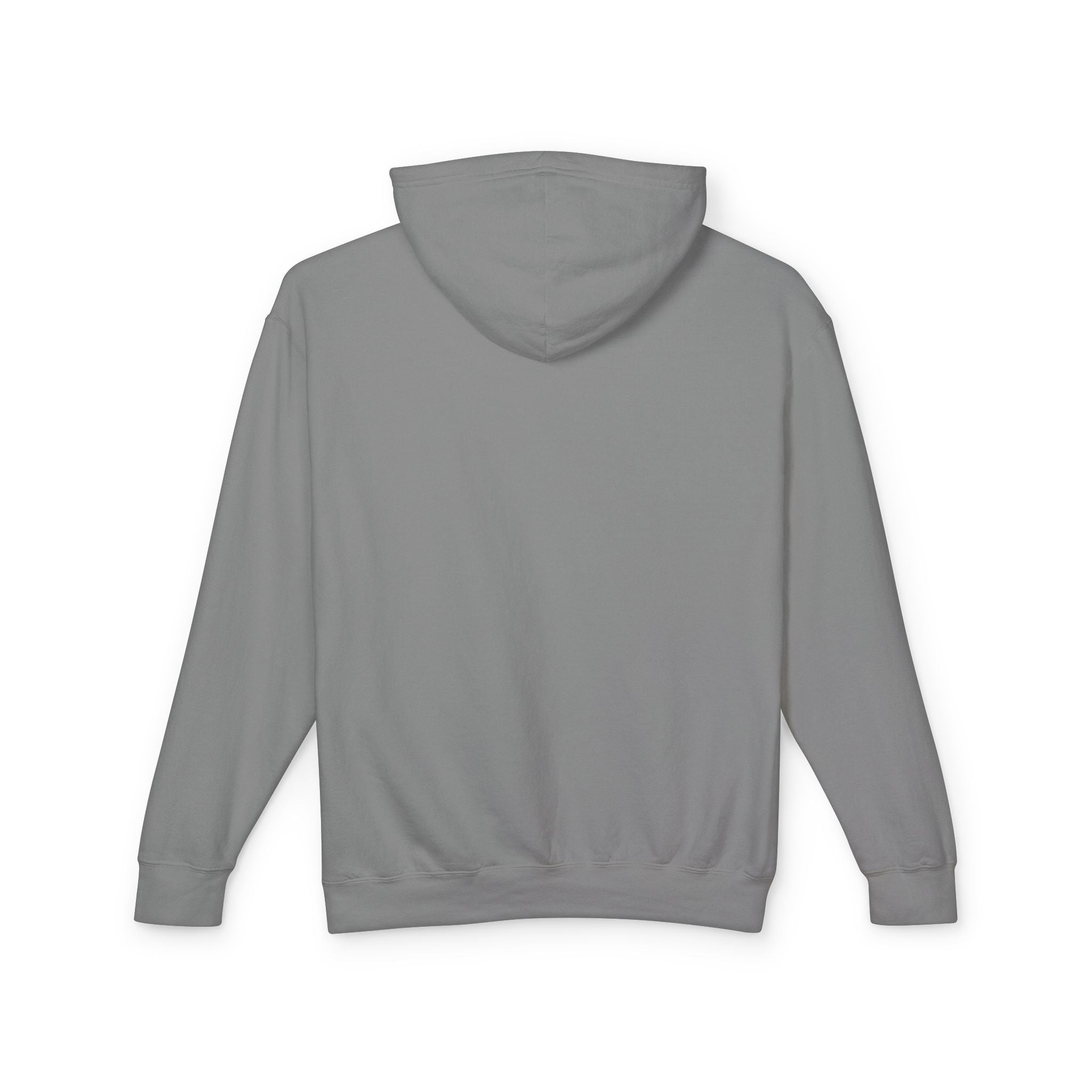 Unisex Lightweight Hooded Sweatshirt - Nothing Makes You an Expert on Skin You Don't Live In - EqualiTees.Me