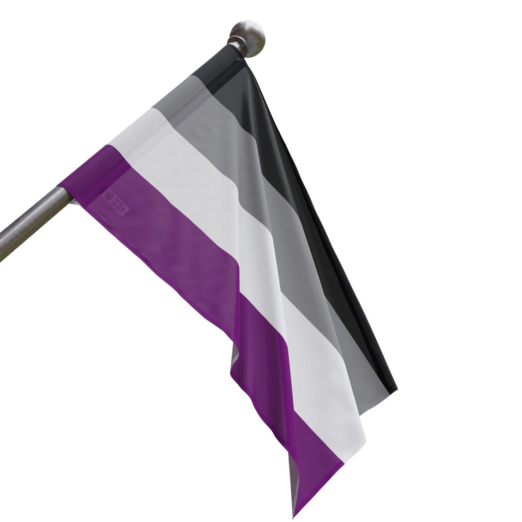Asexual Pride Flag - Aesthetic LGBTQ+ Banner for Celebration & Home Decor - EqualiTees.Me