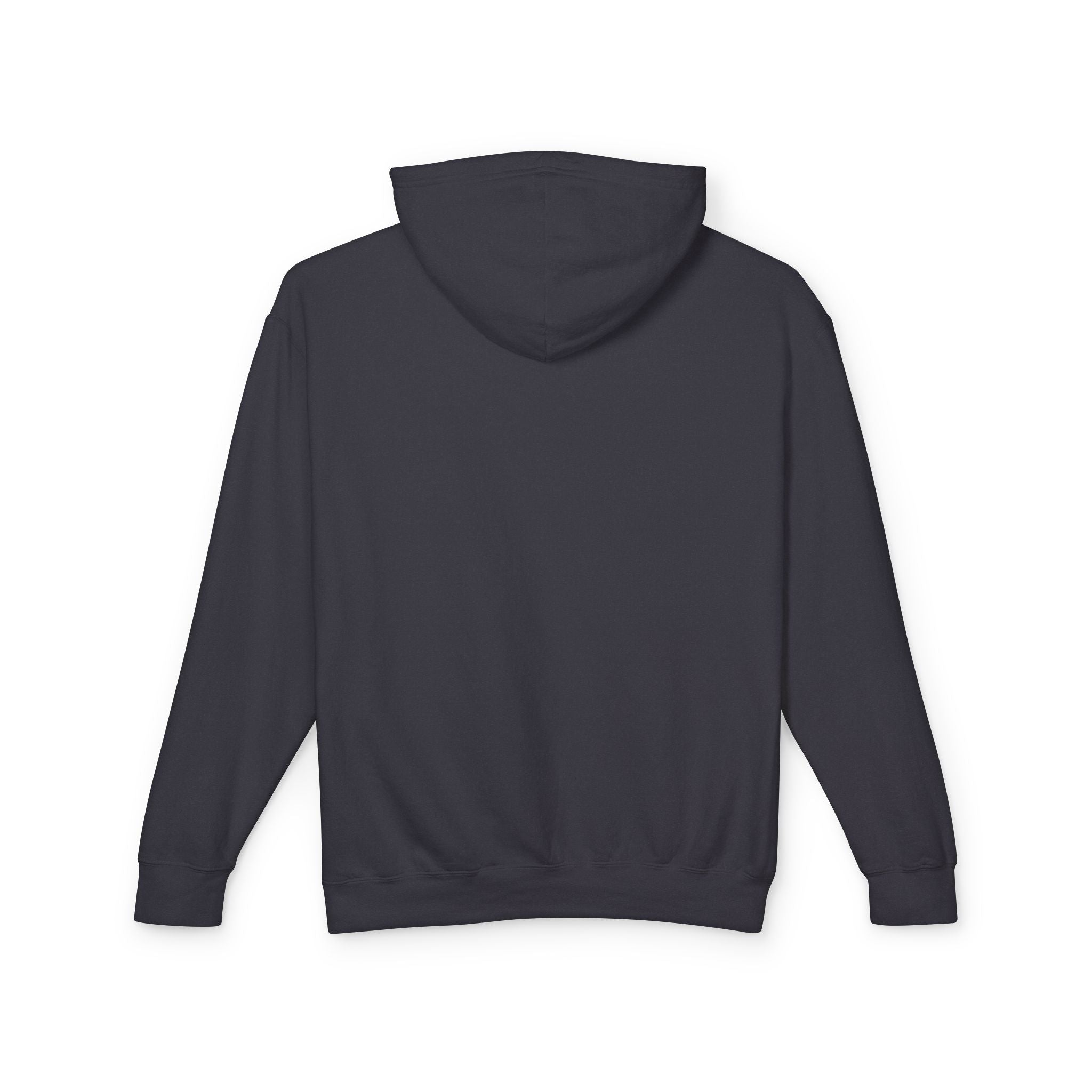 Unisex Lightweight Hooded Sweatshirt - Nothing Makes You an Expert on Skin You Don't Live In - EqualiTees.Me