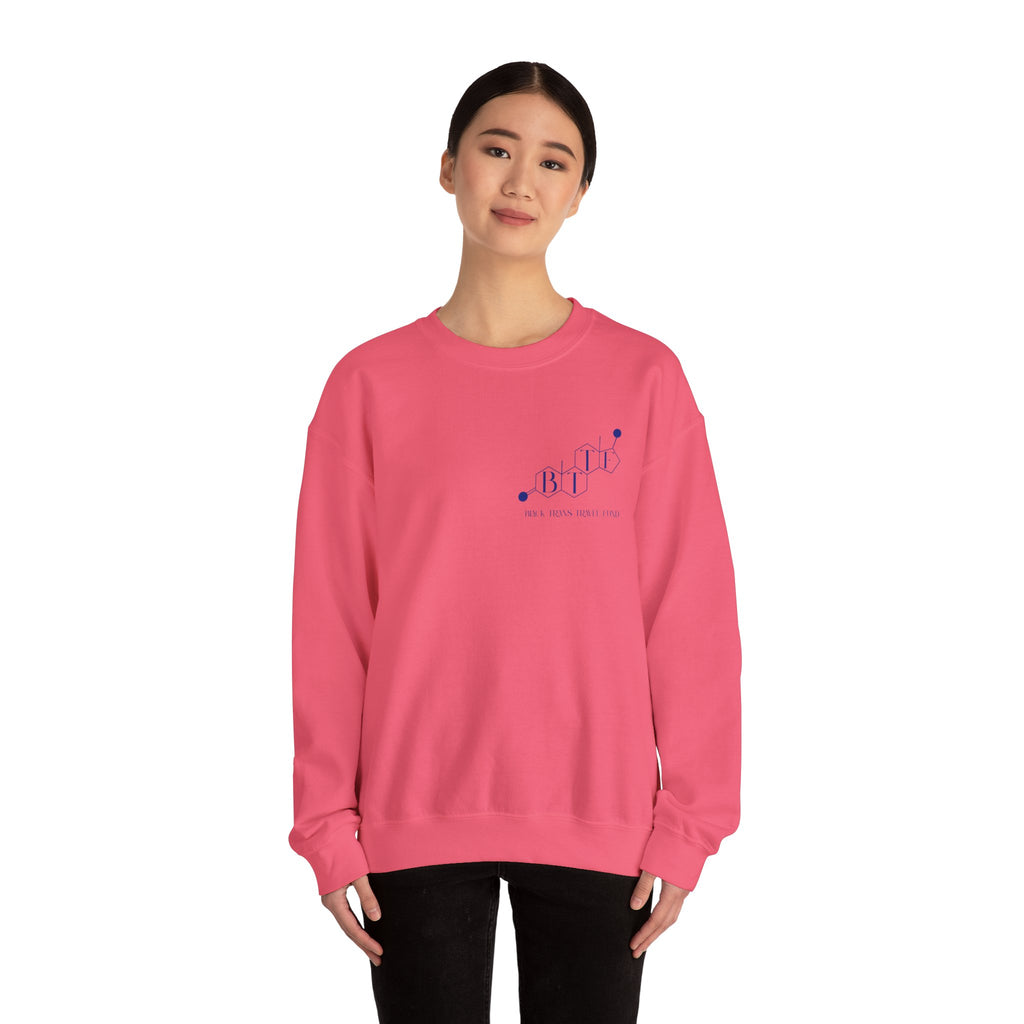 BTTF - Black Trans Travel Fund Unisex Crewneck Sweatshirt