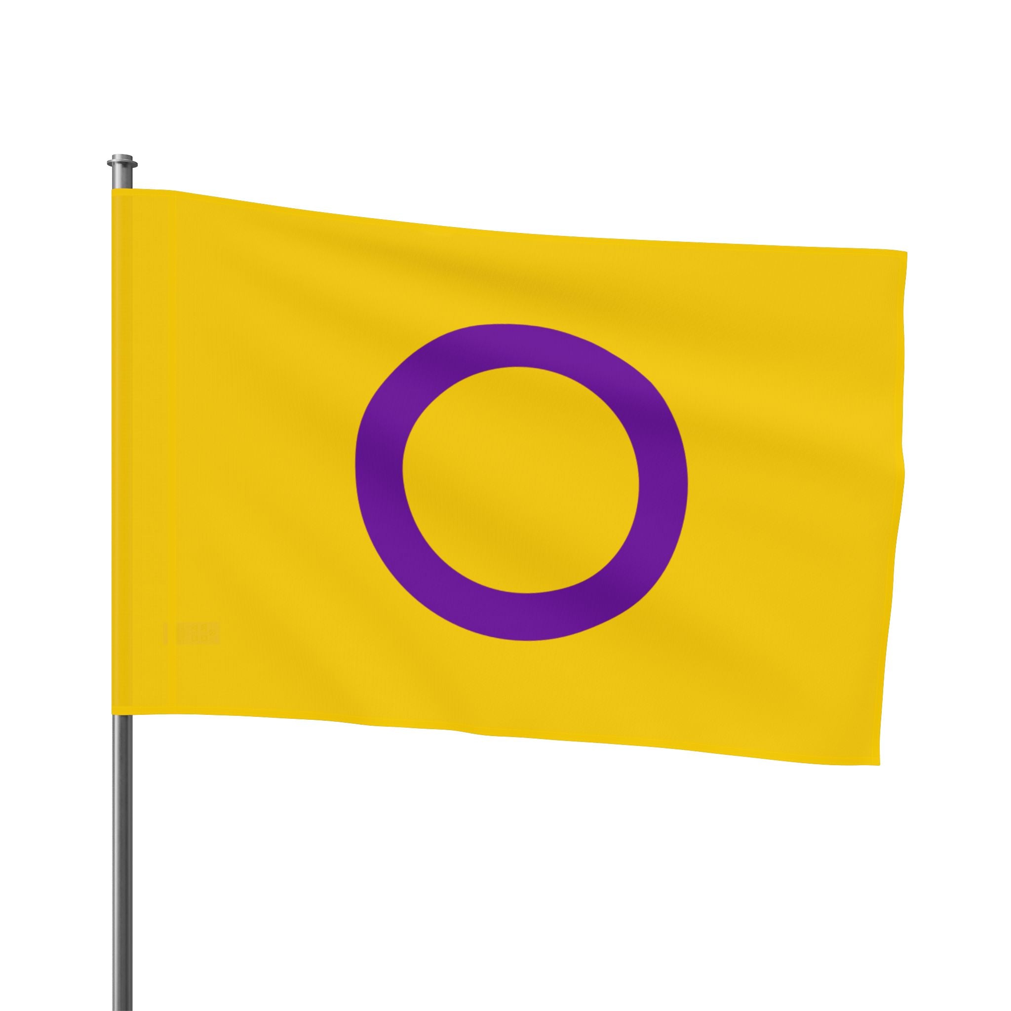 Intersex Pride Flag - Aesthetic LGBTQ+ Banner for Celebration & Home Decor - EqualiTees.Me