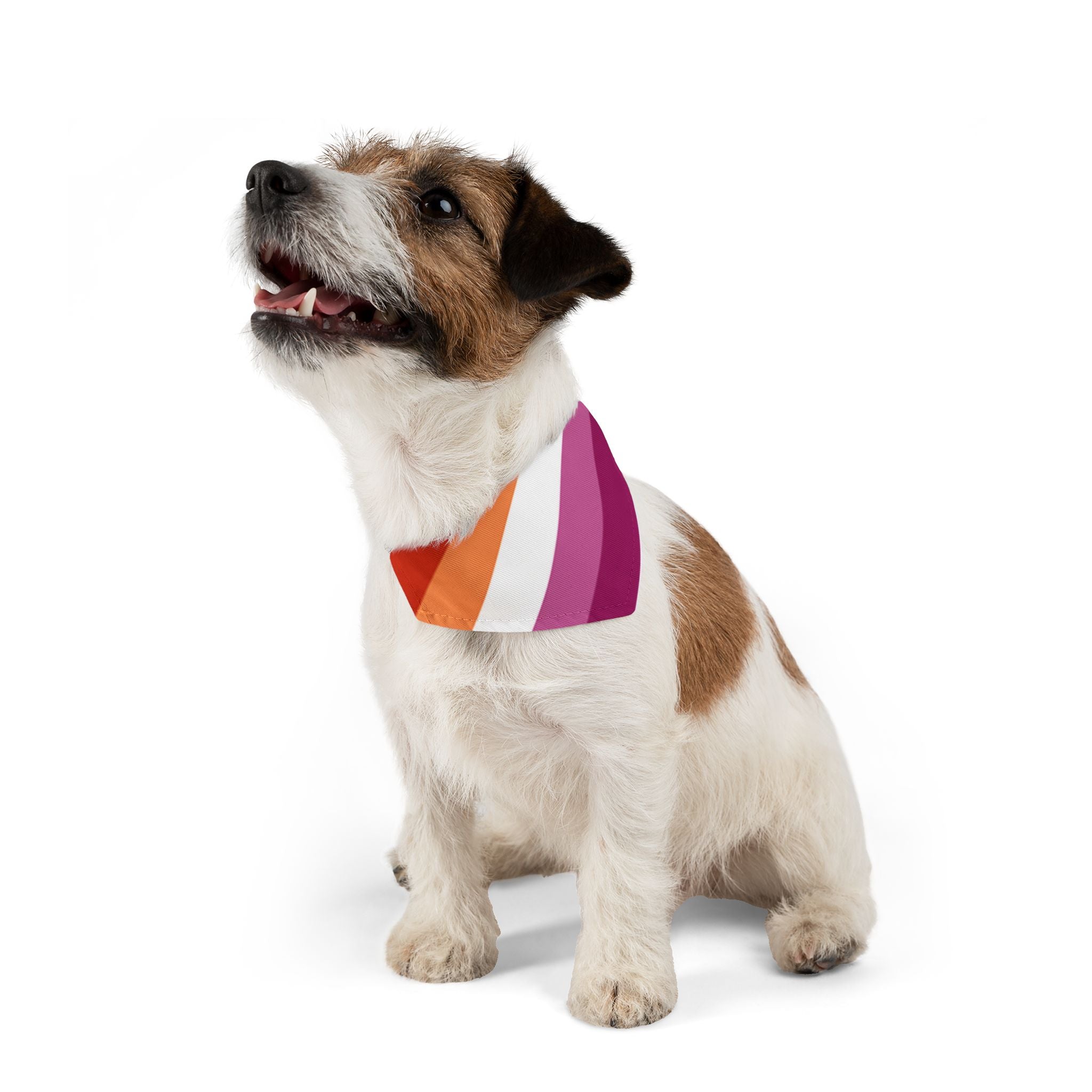 Lesbian Pride Flag Pet Bandana
