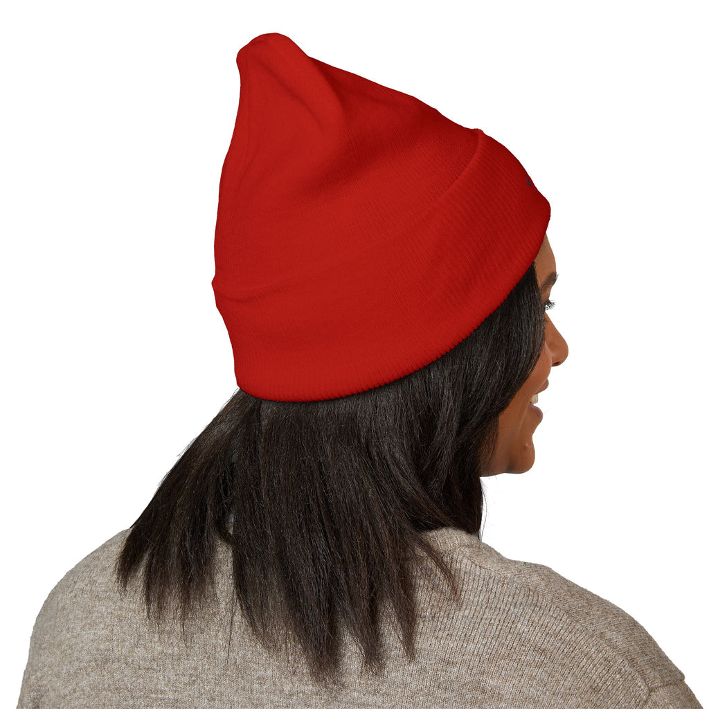 BTTF - Black Trans Travel Fund Embroidered Beanie
