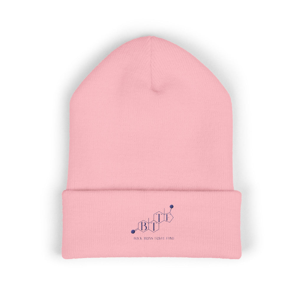 BTTF - Black Trans Travel Fund Embroidered Beanie