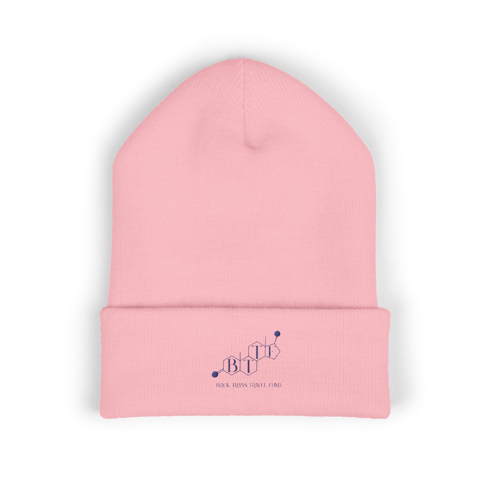 BTTF - Black Trans Travel Fund Embroidered Beanie