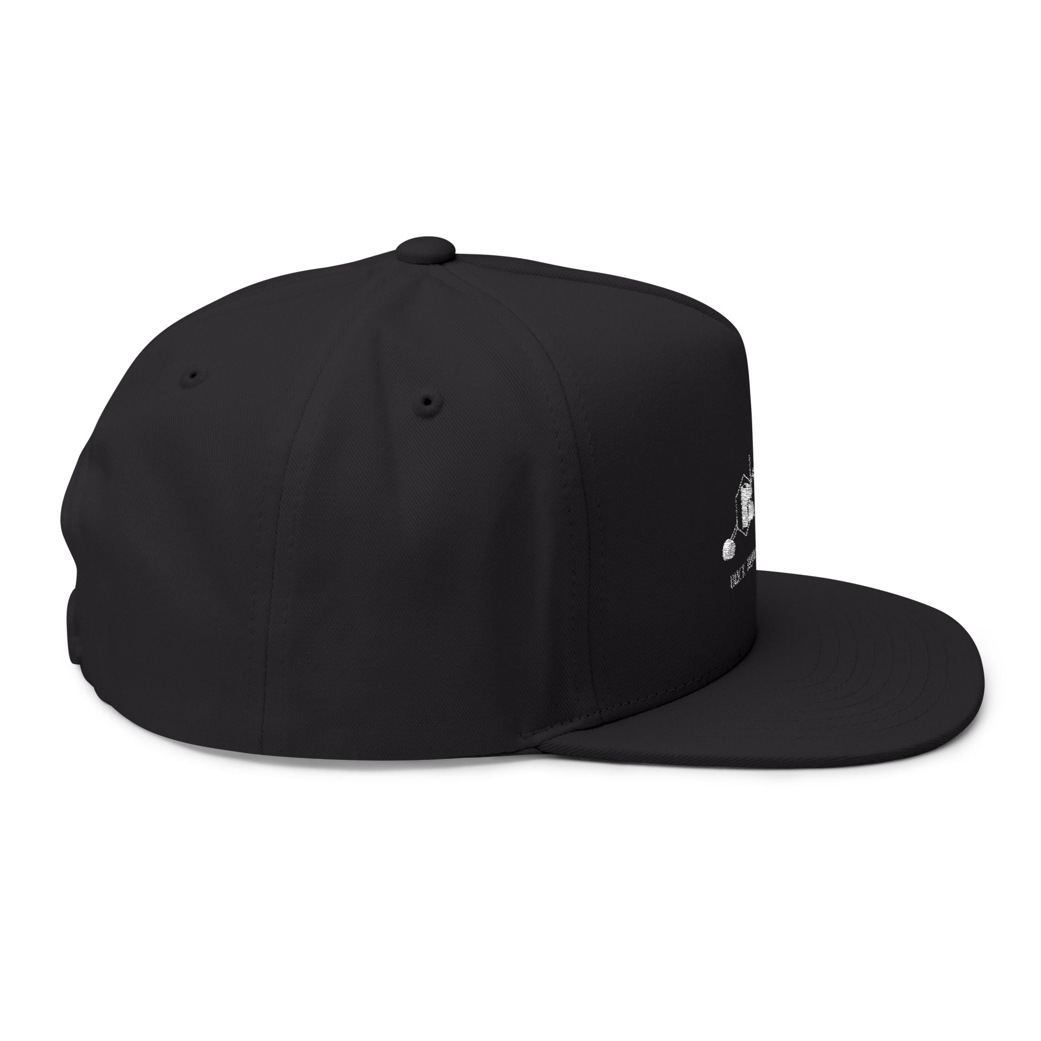 BTTF - Black Trans Travel Fund Embroidered Logo Flat Bill Cap