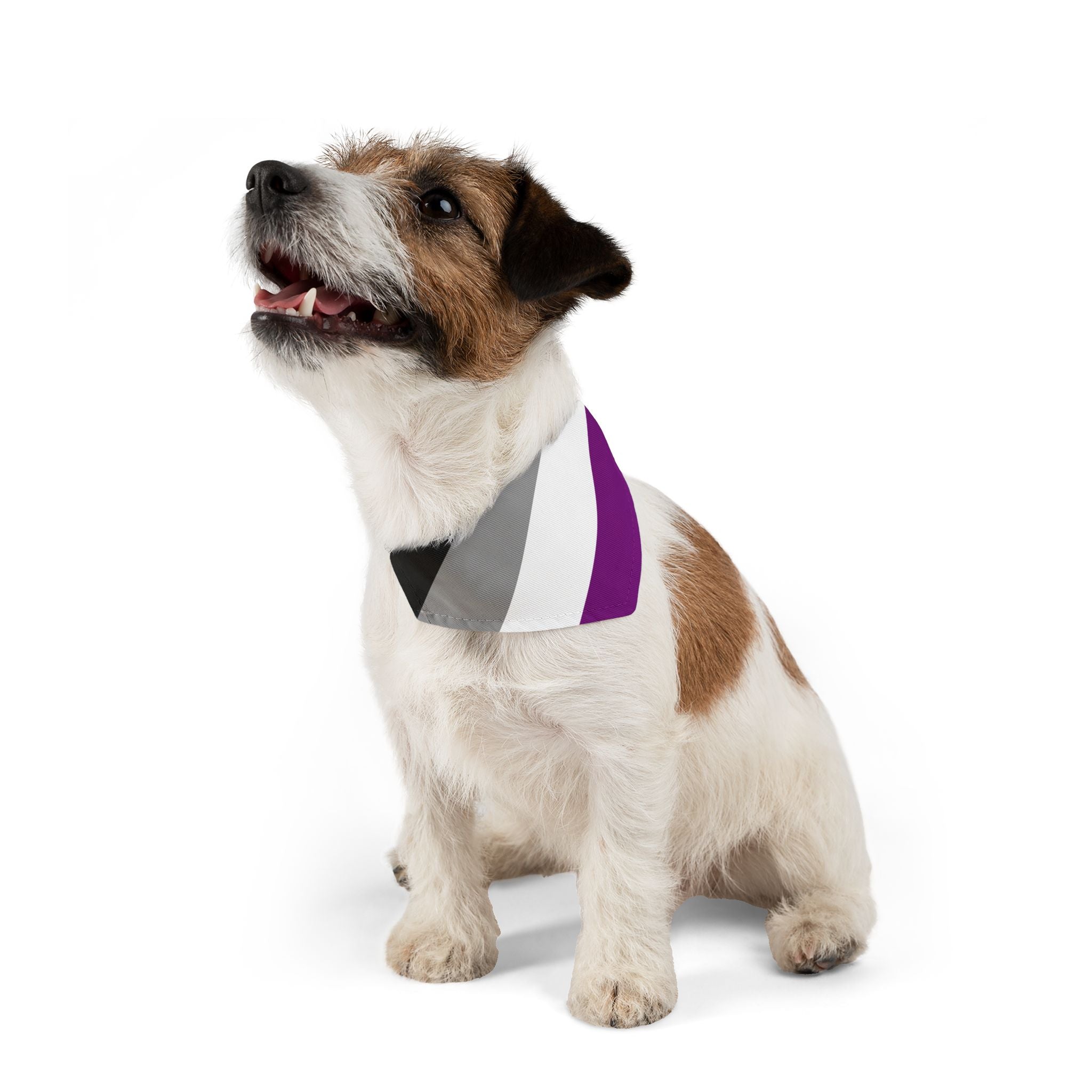 Asexual Pride Flag Pet Bandana - Strut Your Mut