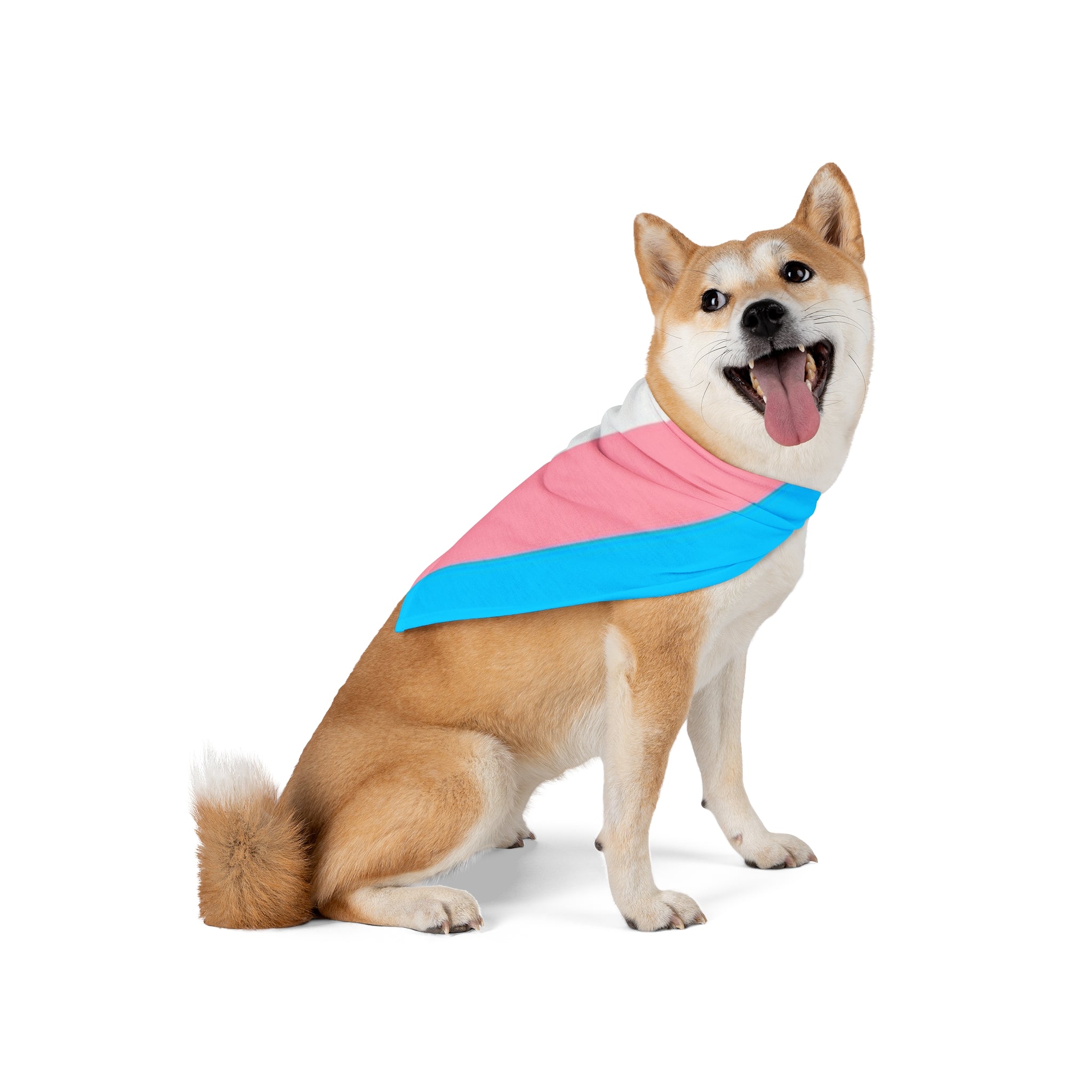Trans Pride Pet Bandana