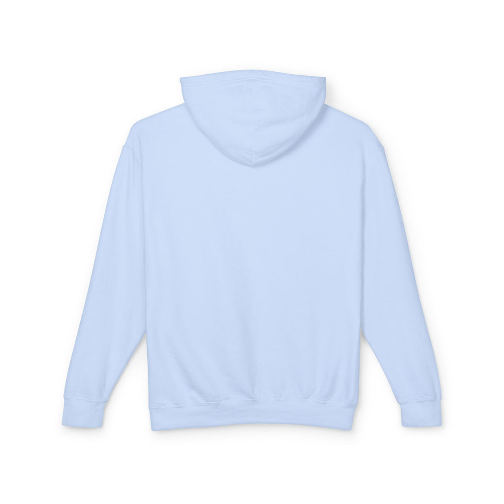 Unisex Lightweight Hooded Sweatshirt - Nothing Makes You an Expert on Skin You Don't Live In - EqualiTees.Me