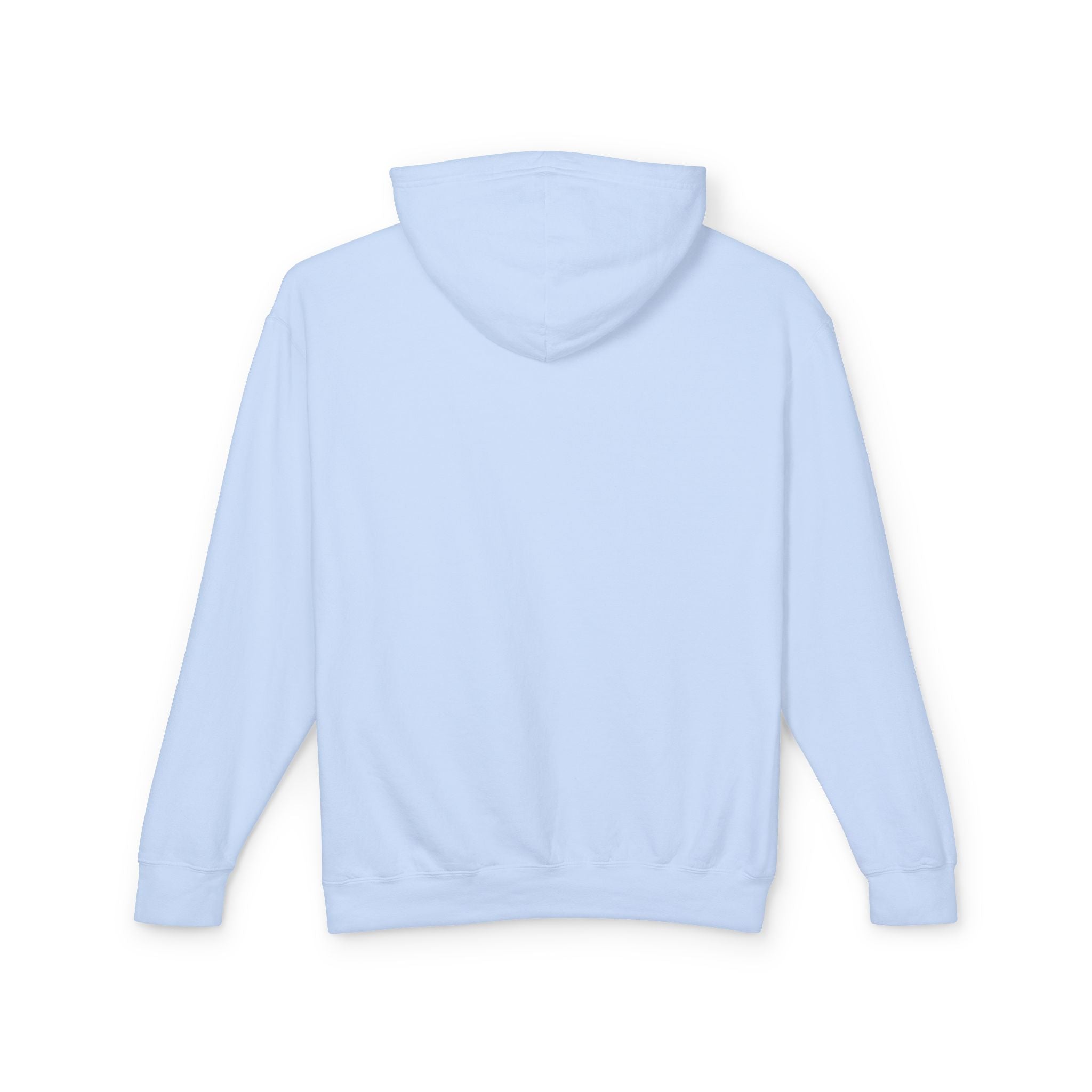 Unisex Lightweight Hooded Sweatshirt - Nothing Makes You an Expert on Skin You Don't Live In - EqualiTees.Me