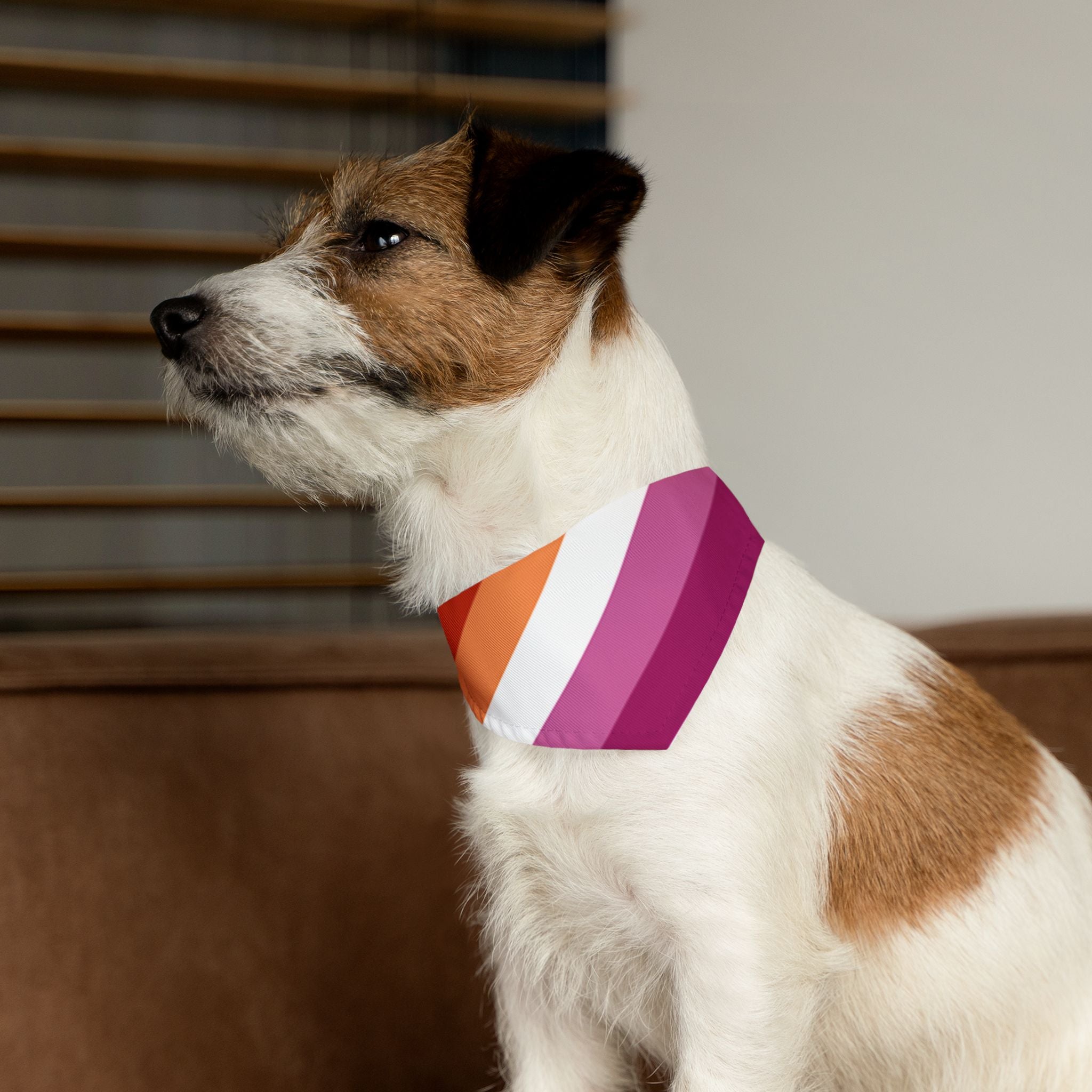 Lesbian Pride Flag Pet Bandana