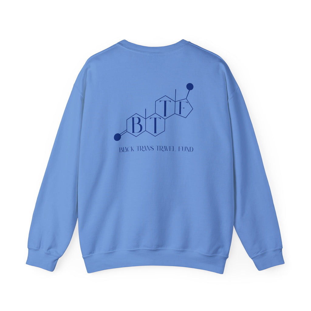 BTTF - Black Trans Travel Fund Unisex Crewneck Sweatshirt