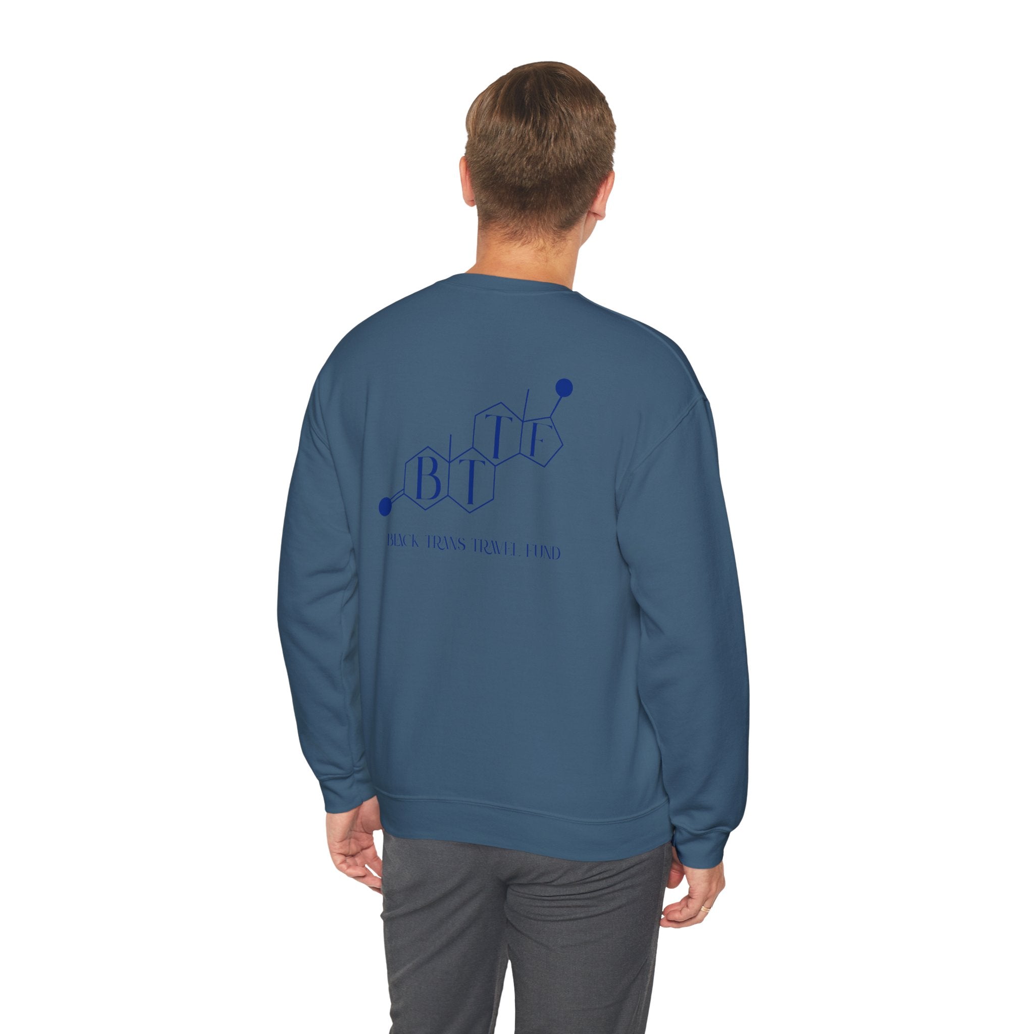 BTTF - Black Trans Travel Fund Unisex Crewneck Sweatshirt