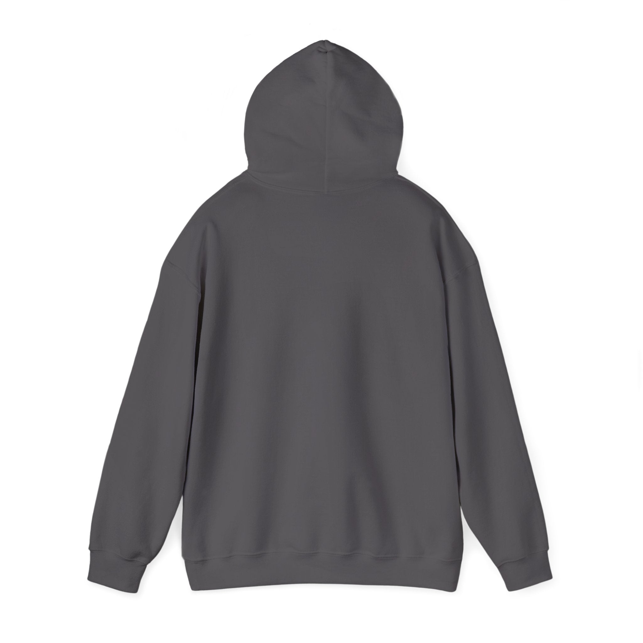 Live And Let Live Hoodie — Retro Peace Graphic Pullover