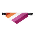 Lesbian Pride Flag Pet Bandana - Strut Your Mut