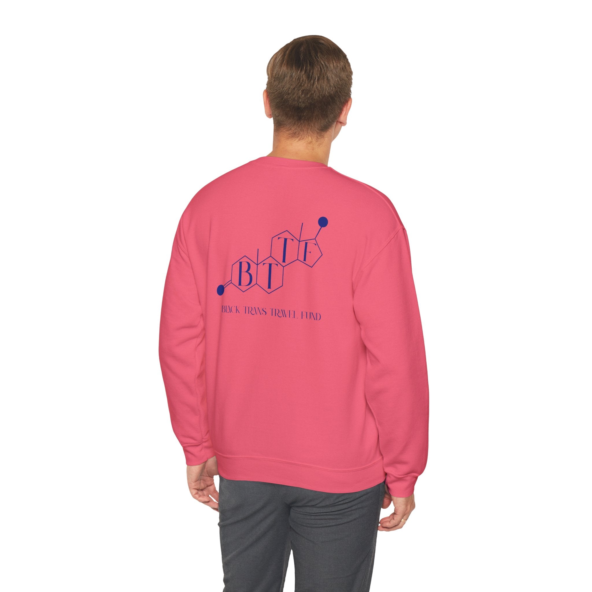 BTTF - Black Trans Travel Fund Unisex Crewneck Sweatshirt