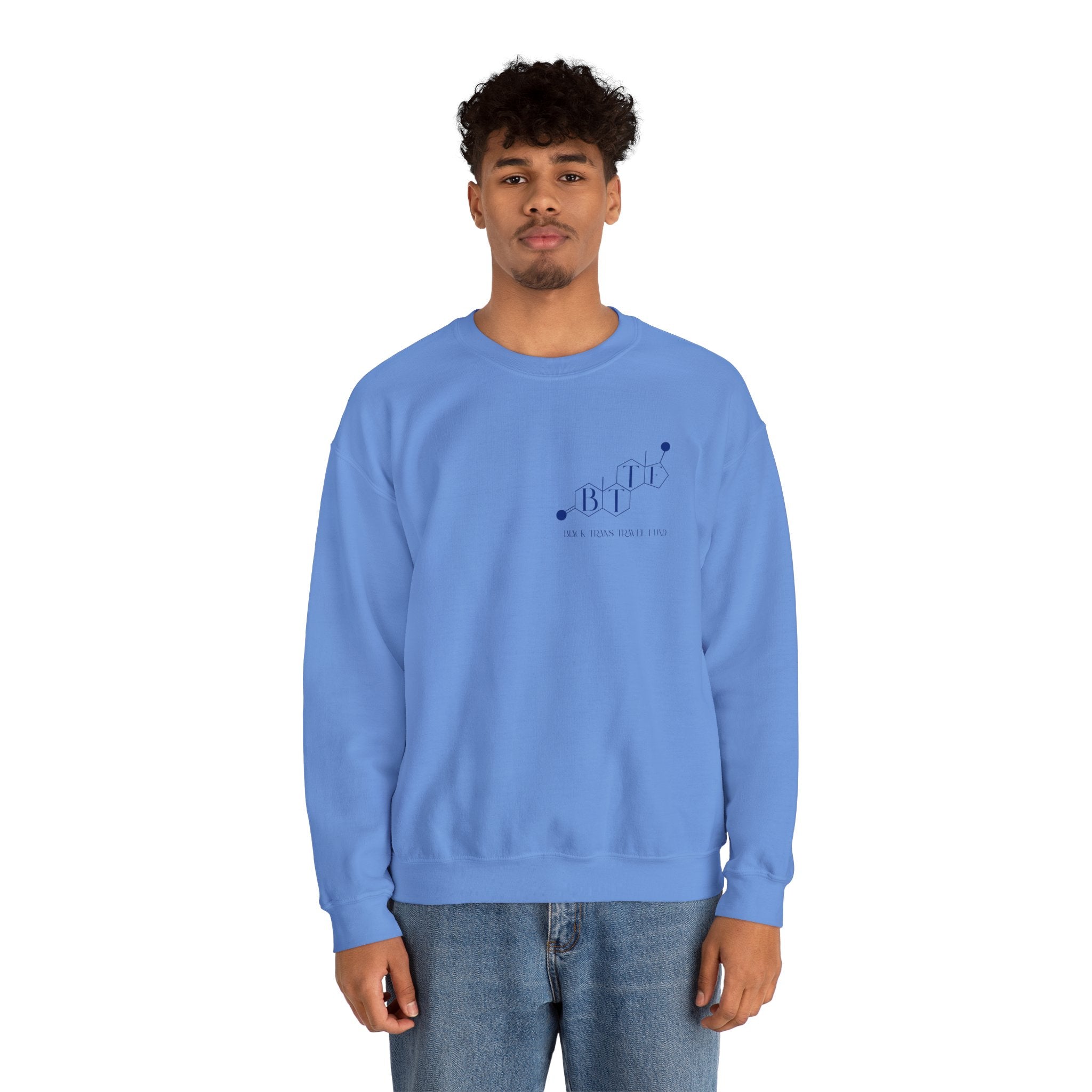 BTTF - Black Trans Travel Fund Unisex Crewneck Sweatshirt