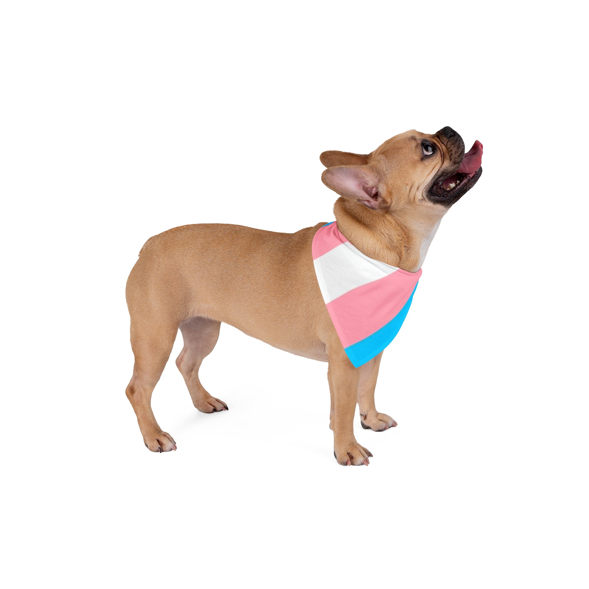 Trans Pride Pet Bandana