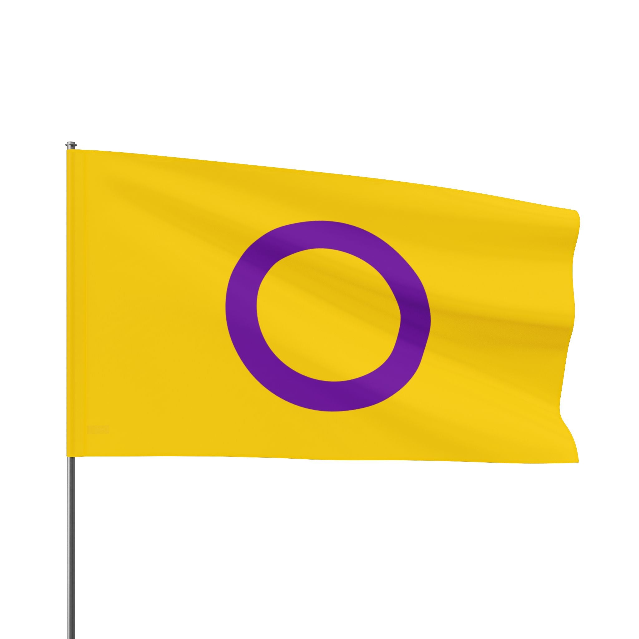 Intersex Pride Flag - Aesthetic LGBTQ+ Banner for Celebration & Home Decor - EqualiTees.Me