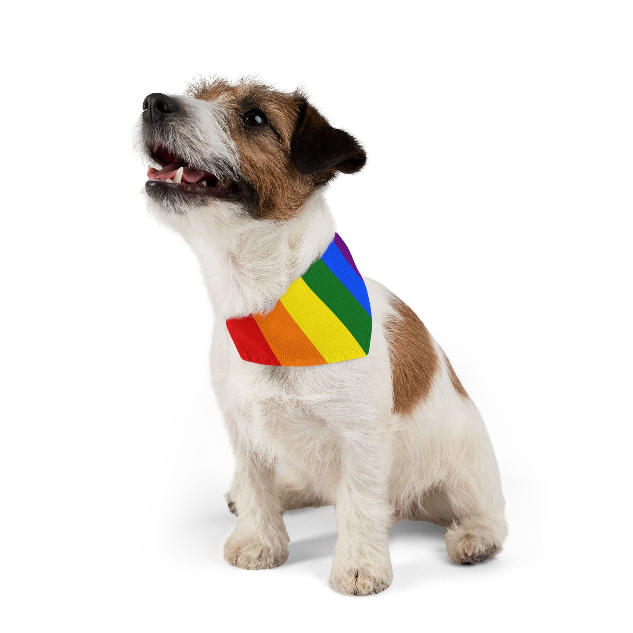 Inclusive Pride Flag Pet Bandana - Strut Your Mut