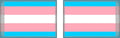 Transgender Pride Double - Sided Flag - Celebrate Inclusivity and Diversity - EqualiTees.Me